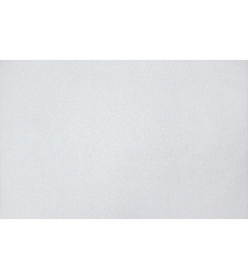 Vinyl Foam wallpaper on non-woven base Vinil Painted Wallpaper РЎ-77 White 25 x 1,06 m