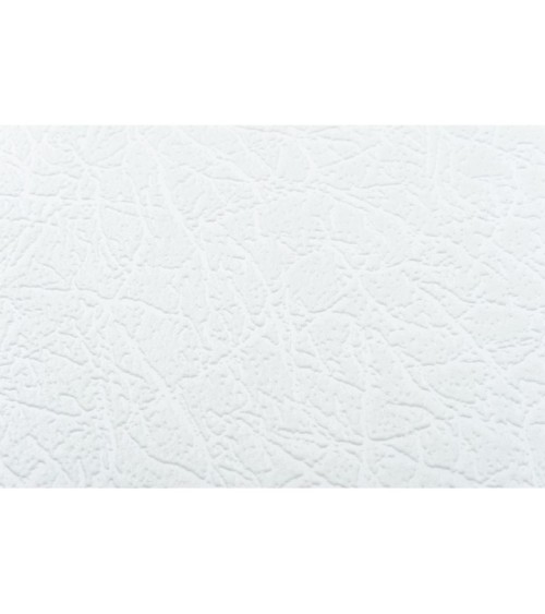 Vinyl Foam wallpaper on non-woven base Vinil Painted Wallpaper РЎ-108 White 25 x 1,06 m