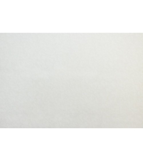 Vinyl Foam wallpaper on non-woven base Vinil Zan DHN-1425/1 White 10,05 x 1,06 m