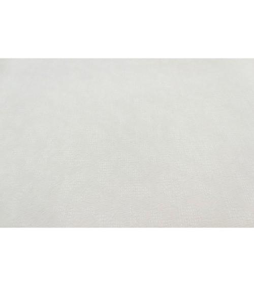 Vinyl Foam wallpaper on non-woven base Vinil Zan DHN-1425/1 White 10,05 x 1,06 m