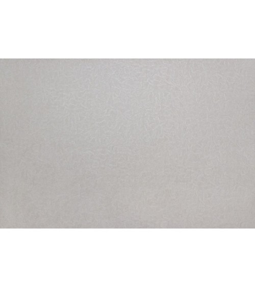 Hot Embossed wallpaper on Non-Woven Base Vinil Splash TFSH 4-1350 Gray 10,05 x 1,06 m