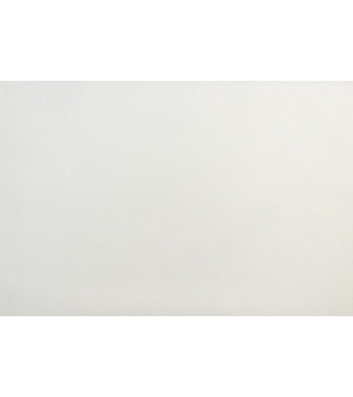 Vinyl Foam wallpaper on non-woven base Vinil Painted Wallpaper PRO 1 White 25 x 1,06 m