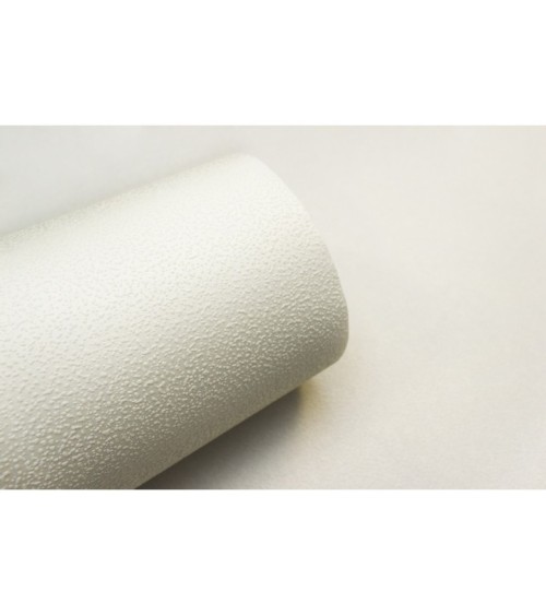 Vinyl Foam wallpaper on non-woven base Vinil Painted Wallpaper PRO 1 White 25 x 1,06 m