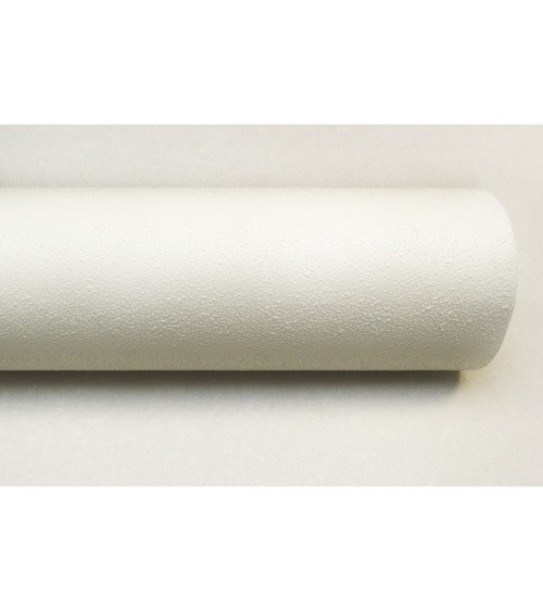 Vinyl Foam wallpaper on non-woven base Vinil Painted Wallpaper PRO 2 White 25 x 1,06 m