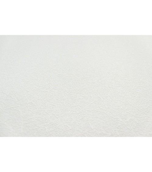 Vinyl Foam wallpaper on non-woven base Vinil Painted Wallpaper PRO 3 White 25 x 1,06 m