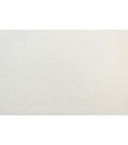 Vinyl Foam wallpaper on non-woven base Vinil Painted Wallpaper PRO 2-10 Snowball White 10,05 x 1,06 m