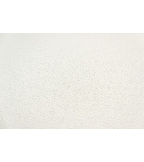 Vinyl Foam wallpaper on non-woven base Vinil Painted Wallpaper PRO 2-10 Snowball White 10,05 x 1,06 m