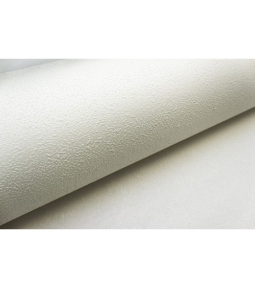 Vinyl Foam wallpaper on non-woven base Vinil Painted Wallpaper PRO 2-10 Snowball White 10,05 x 1,06 m