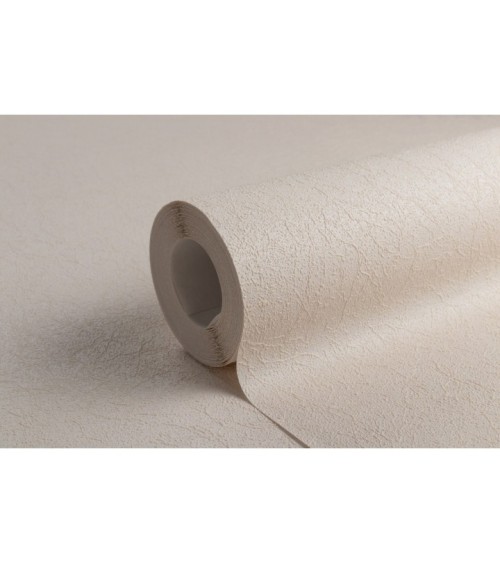 Vinyl Foam wallpaper on non-woven base Vinil Painted Wallpaper PRO 3 - Light3 Beige 10,05 x 1,06 m