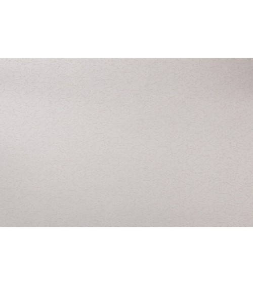 Vinyl Foam wallpaper on non-woven base Vinil Painted Wallpaper PRO 4 - Light1 White 10,05 x 1,06 m