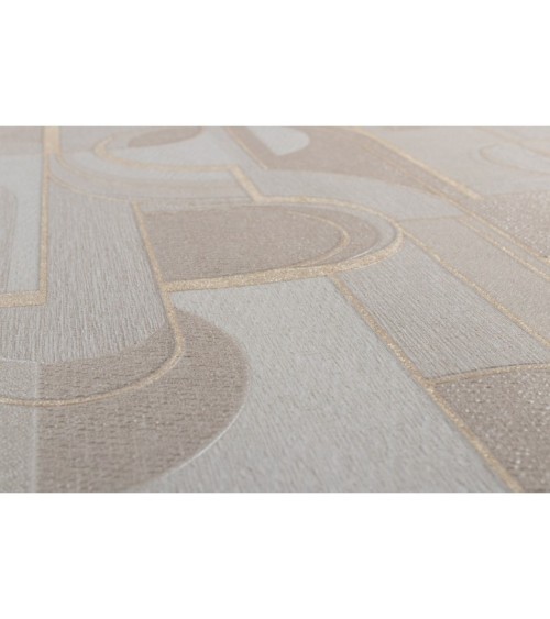 Hot Embossed wallpaper on Non-Woven Base Vinil Lion TFSH 2-1432 Beige 10,05 x 1,06 m