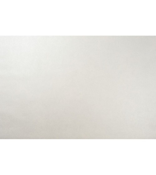 Hot Embossed wallpaper on Non-Woven Base Vinil Rima SHT 1-1565 Light-Gray 10,05 x 1,06 m