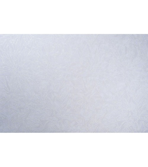 Vinyl Foam wallpaper on non-woven base Vinil Fiji  DHS-1480/2 Lillac 10,05 x 1,06 m