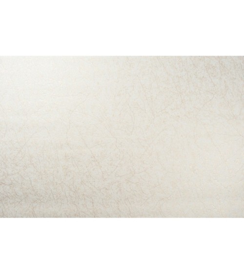 Vinyl Foam wallpaper on non-woven base Vinil Klein  DHS-1412/2 Golden Sandy 10,05 x 1,06 m