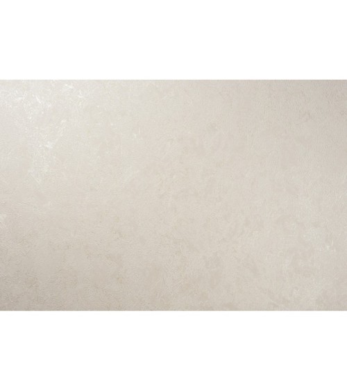 Hot Embossed wallpaper on Non-Woven Base Vinil Agava SHT 6-1406 Beige 10,05 x 1,06 m