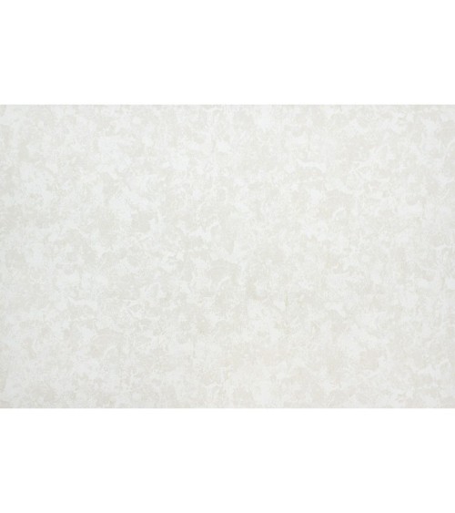 Vinyl Foam wallpaper on non-woven base Vinil Elegy  DHS-1475/1 Beige 10,05 x 1,06 m