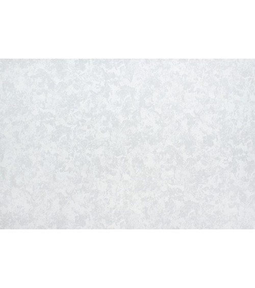 Vinyl Foam wallpaper on non-woven base Vinil Elegy  DHS-1475/4 Gray 10,05 x 1,06 m