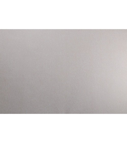 Vinyl Foam wallpaper on non-woven base Vinil ARABELLA DHV-1481/3 Light- Beige 10,05 x 1,06 m