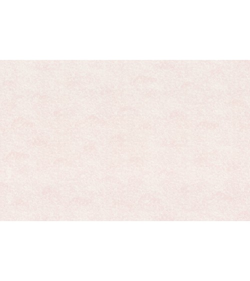 Hot Embossed wallpaper on Non-Woven Base Vinil Sky SHT 3-1552 Pink 10,05 x 1,06 m