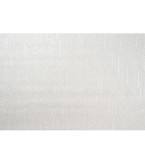 Vinyl Foam wallpaper on non-woven base Vinil Shamani  DHS-1478/2 Gray-White 10,05 x 1,06 m