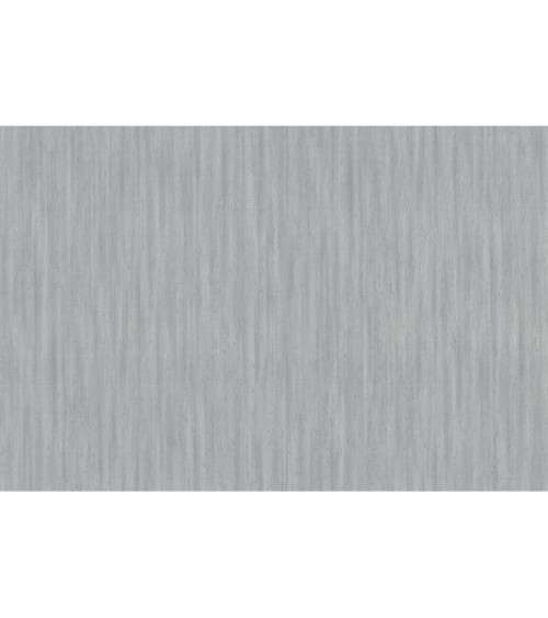 Hot Embossed wallpaper on Non-Woven Base Vinil Irene SHT 5-1567 Light Gray 10,05 x 1,06 m