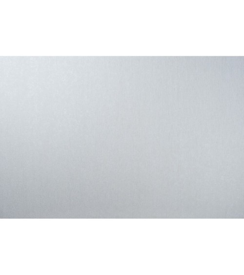 Vinyl Foam wallpaper on non-woven base Vinil Fiji DHN-1499/5 Light Gray 10,05 x 1,06 m