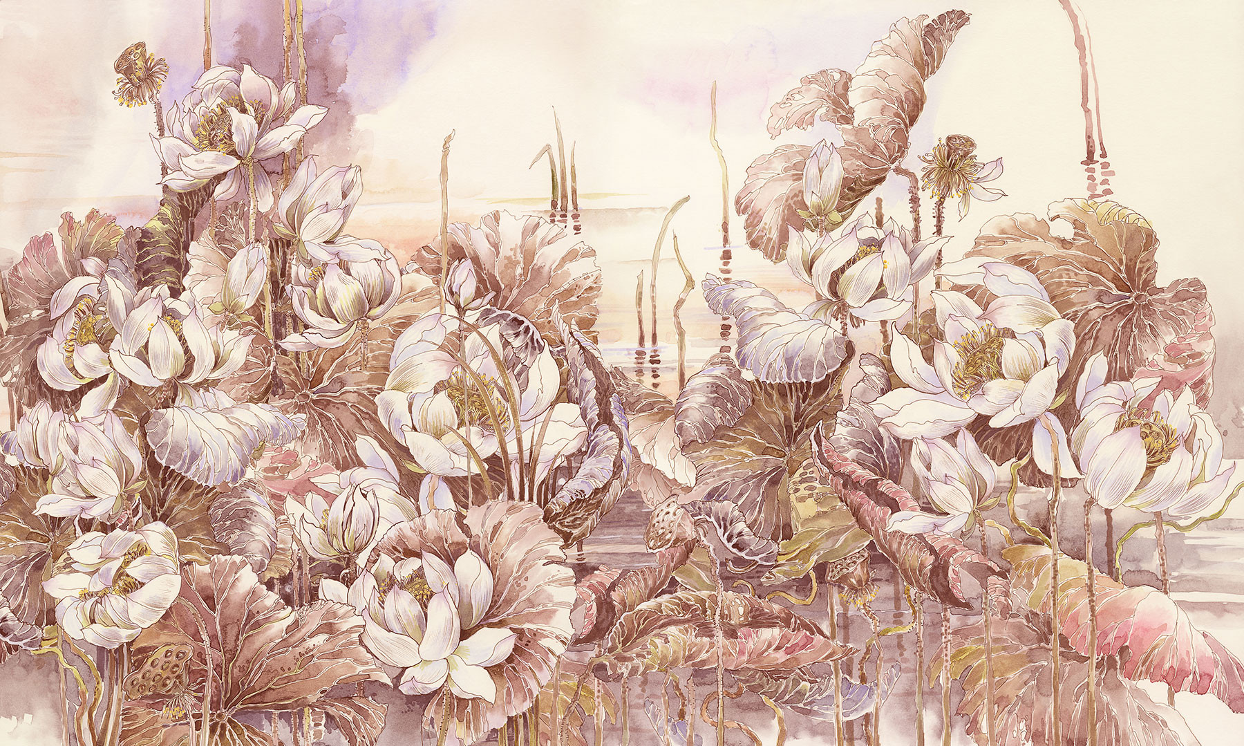Lotuses at Dawn 4