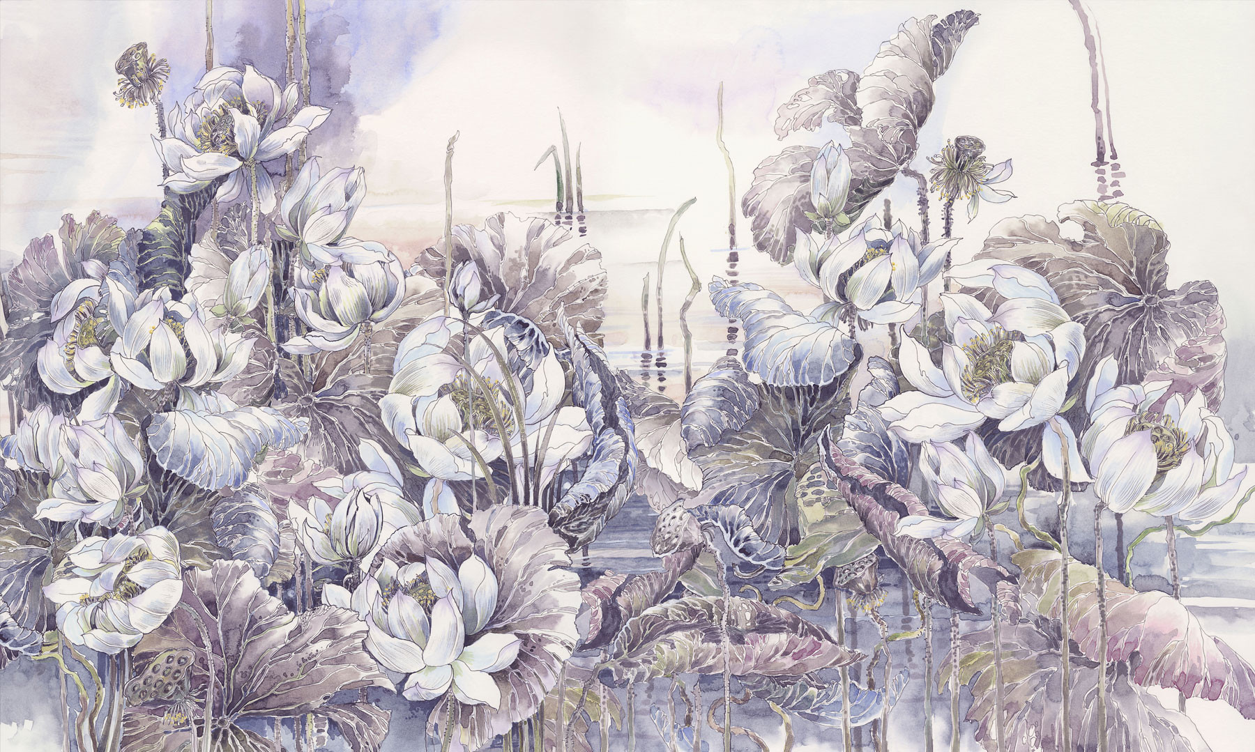 Lotuses at Dawn 4