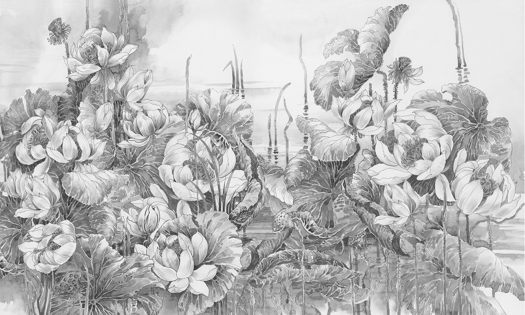 Lotuses at Dawn 4