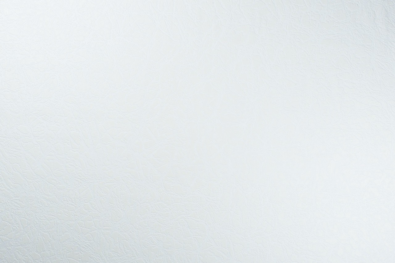 Vinyl Foam wallpaper on non-woven base Vinil Painted Wallpaper РЎ-108 White 25 x 1,06 m