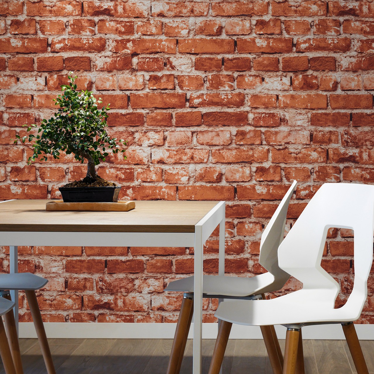 Hot Embossed wallpaper on Non-Woven Base Vinil Flat SHT 5-1538 Beige 10,05 x 1,06 m