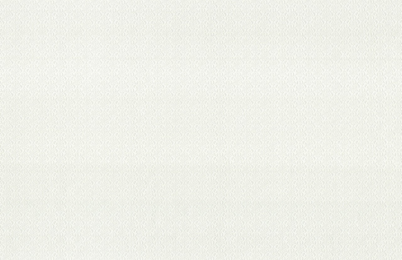 Vinyl Foam wallpaper on non-woven base Vinil Damir DHV-1487/1 White 10,05 x 1,06 m