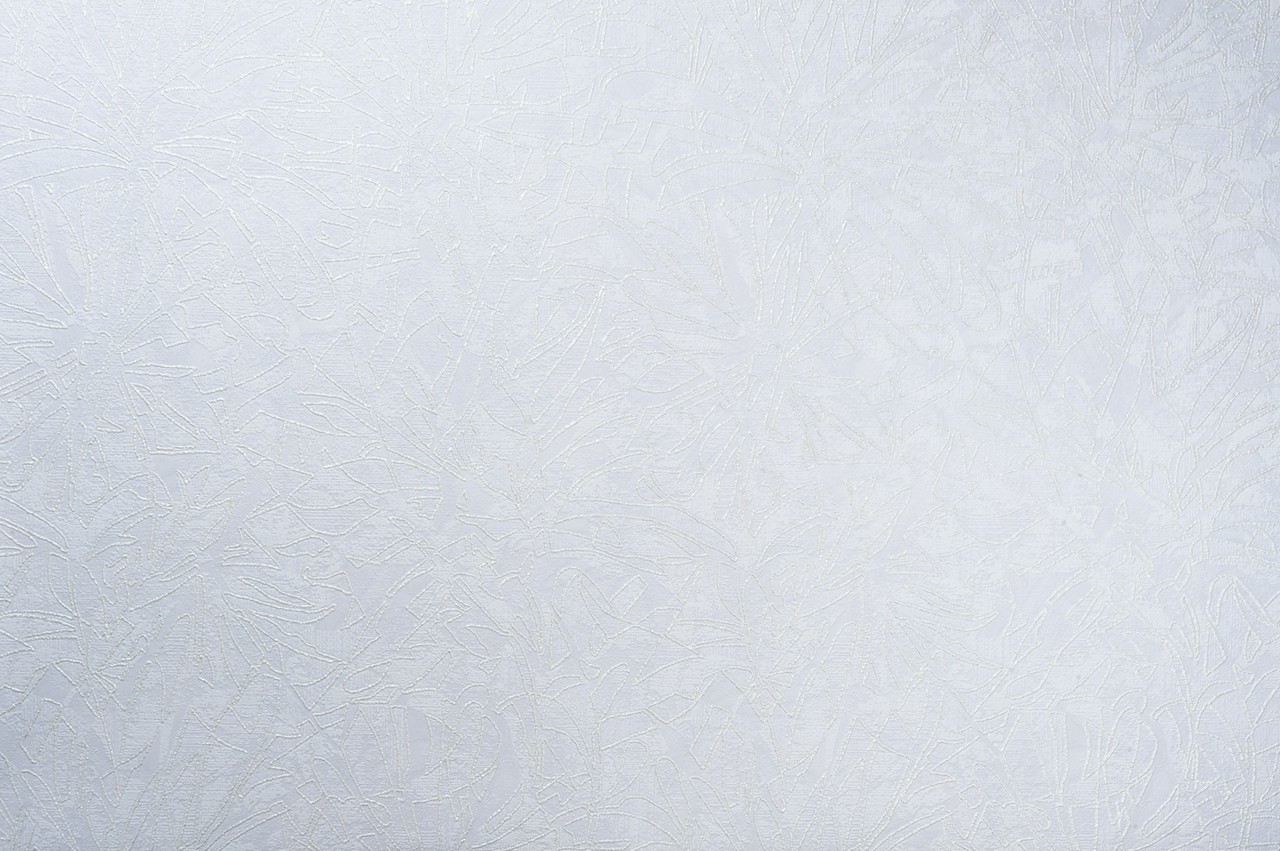 Vinyl Foam wallpaper on non-woven base Vinil Fiji  DHS-1480/1 White 10,05 x 1,06 m