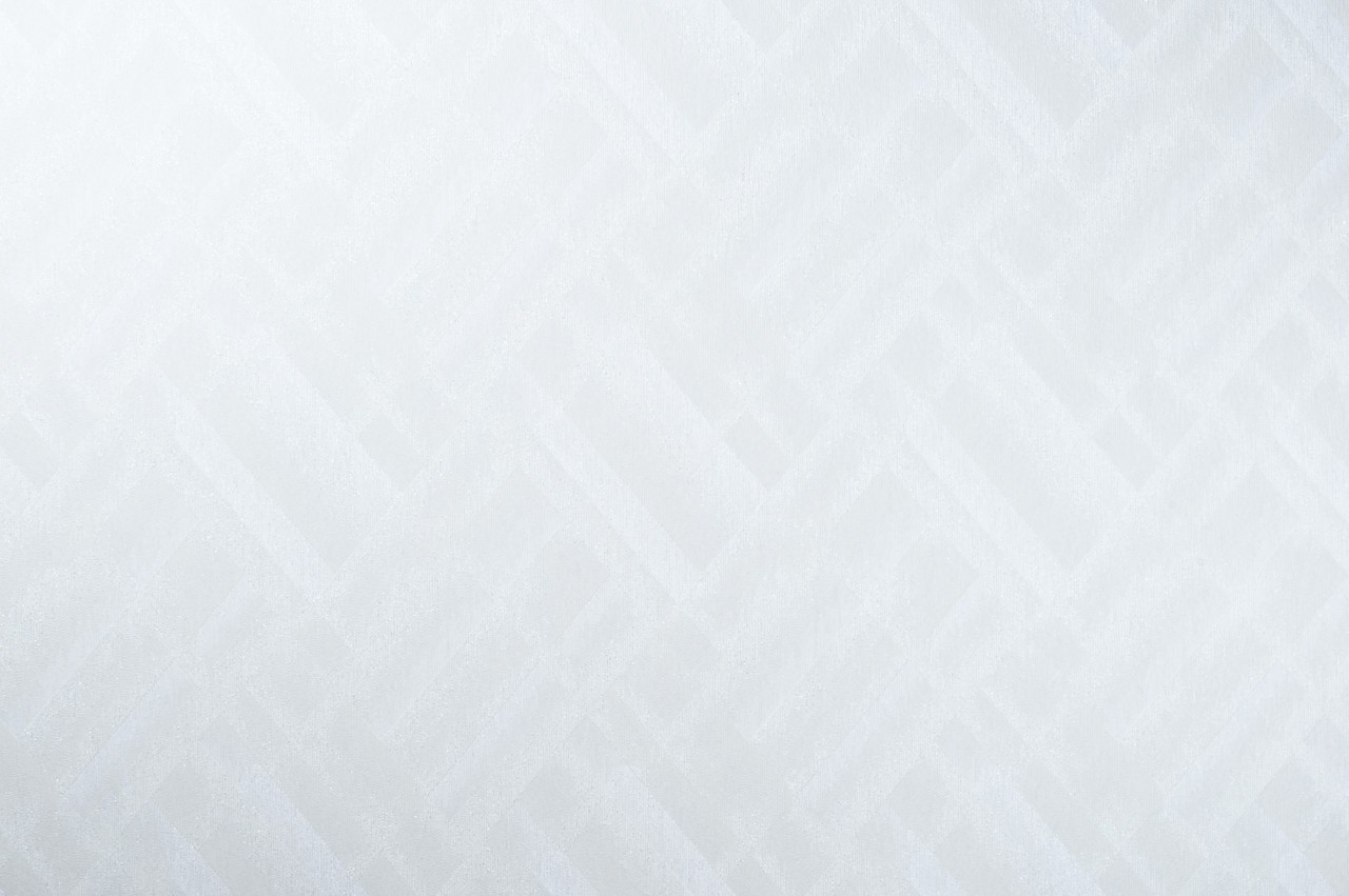 Vinyl Foam wallpaper on non-woven base Vinil Shirley  DHS-1582/1 Pearl 10,05 x 1,06 m